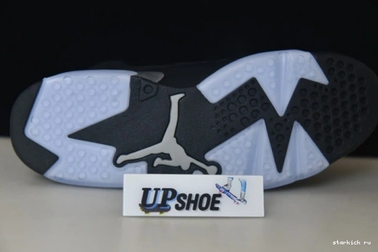 Metallic 6 Silver Jordan Retro DX2836-001 DX2836-001 0224